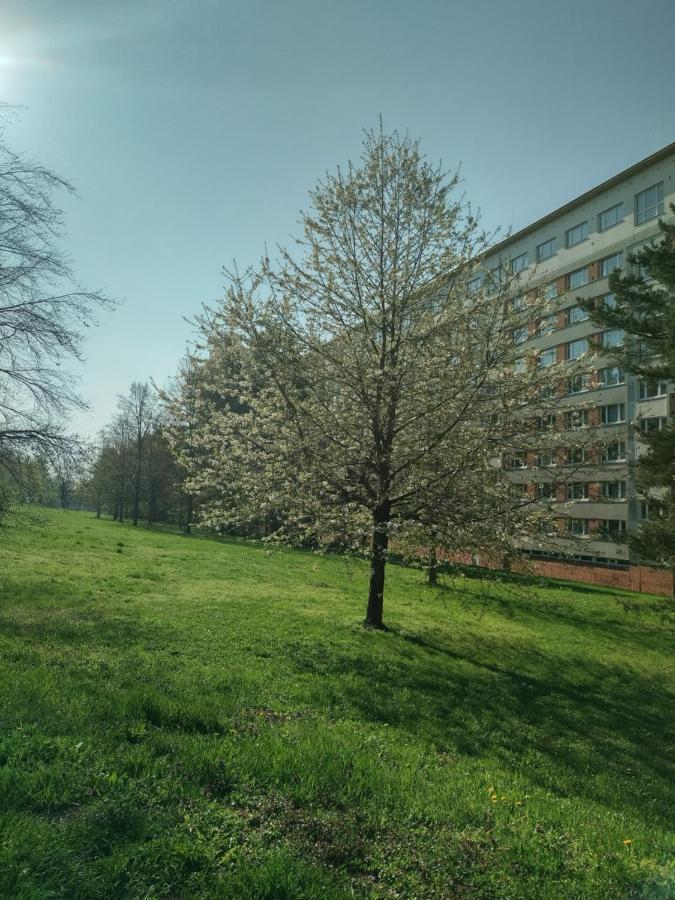 Apartamento Flat Lesná Brno Exterior foto